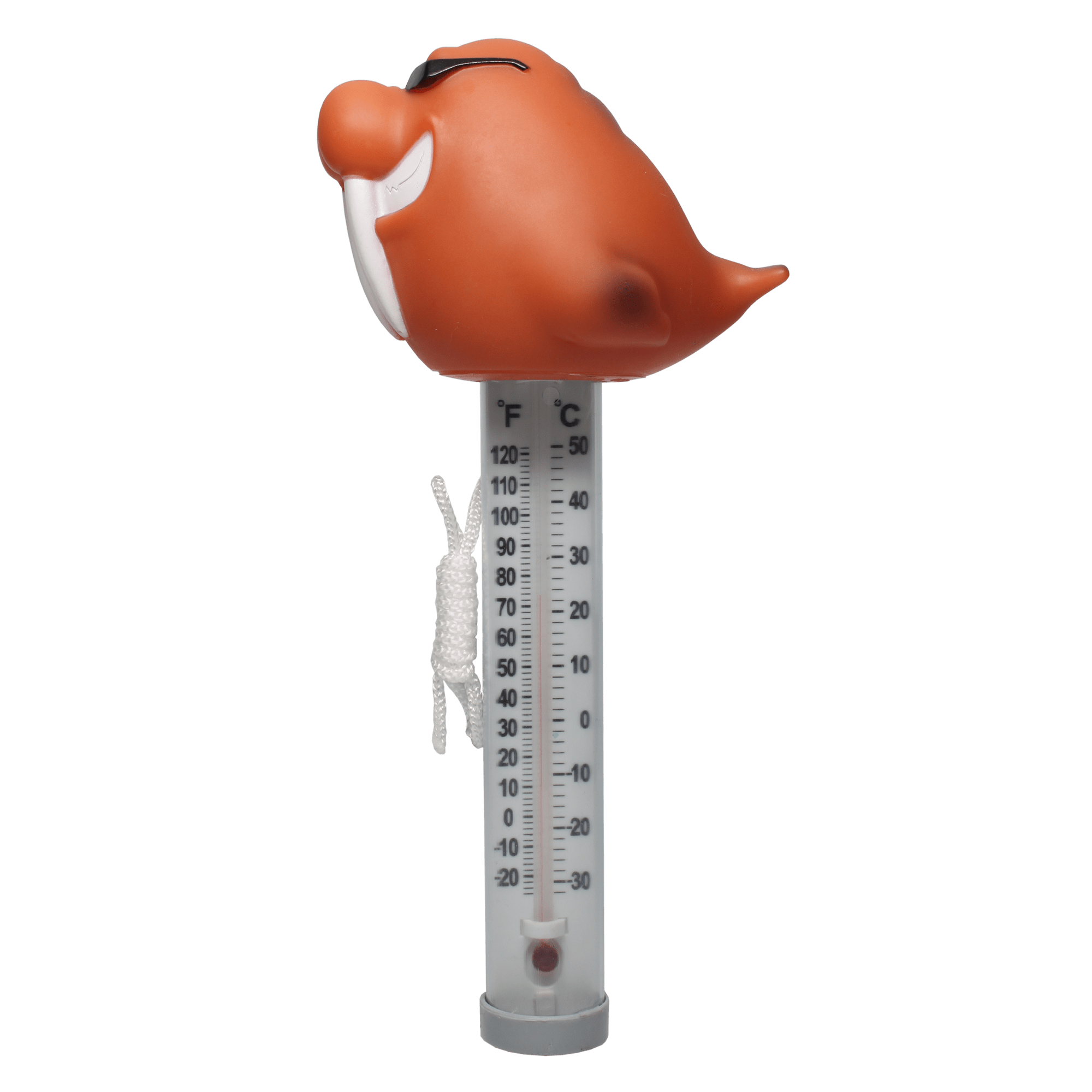 TF225_Walrus