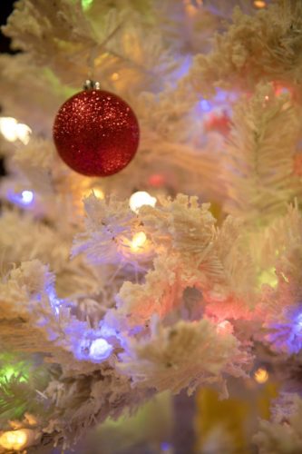 2023 AquaEZ X-Mas Party 012